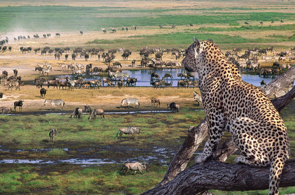 Top Thrilling Tourist Attractions in East Africa